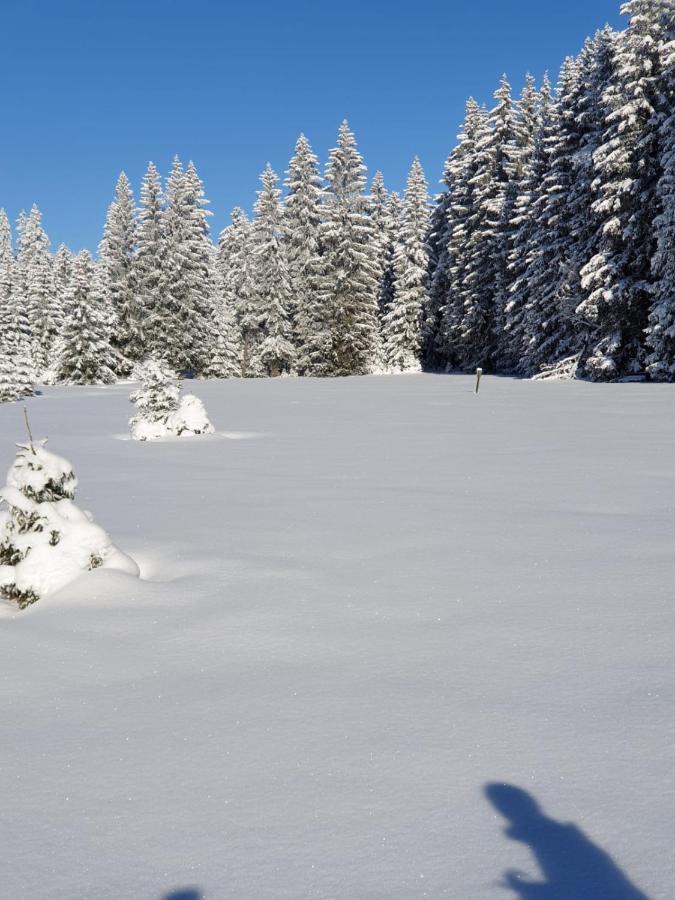 Erzgebirgshuette Villa Pobershau Bagian luar foto